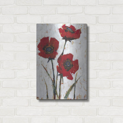 Luxe Metal Art 'Red Poppy Fresco II' by Tim O'Toole, Metal Wall Art,16x24