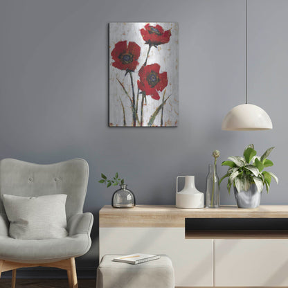 Luxe Metal Art 'Red Poppy Fresco II' by Tim O'Toole, Metal Wall Art,16x24