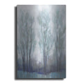 Luxe Metal Art 'Through the Clearing I' by Tim O'Toole, Metal Wall Art