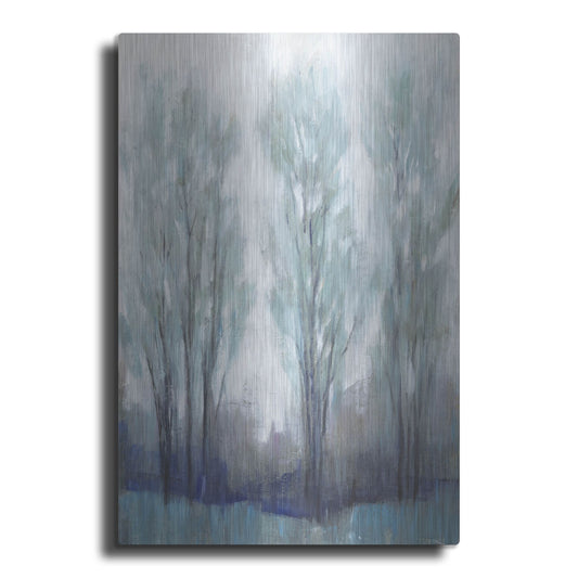 Luxe Metal Art 'Through the Clearing I' by Tim O'Toole, Metal Wall Art