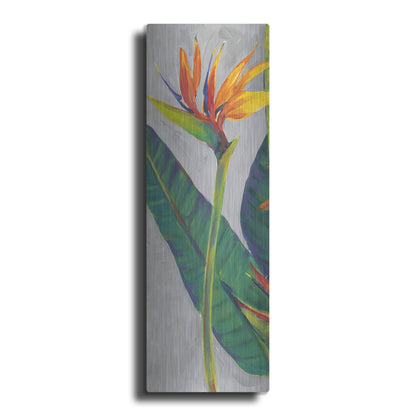 Luxe Metal Art 'Bird of Paradise Triptych I' by Tim O'Toole, Metal Wall Art