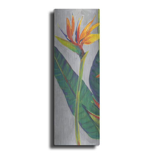 Luxe Metal Art 'Bird of Paradise Triptych I' by Tim O'Toole, Metal Wall Art