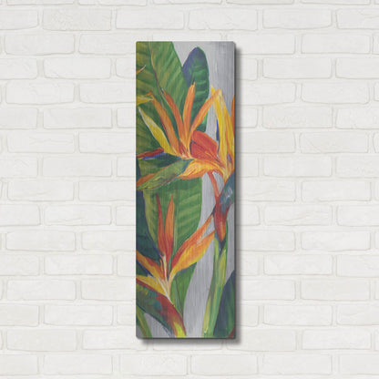 Luxe Metal Art 'Bird of Paradise Triptych II' by Tim O'Toole, Metal Wall Art,12x36