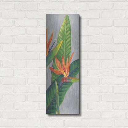 Luxe Metal Art 'Bird of Paradise Triptych III' by Tim O'Toole, Metal Wall Art,12x36