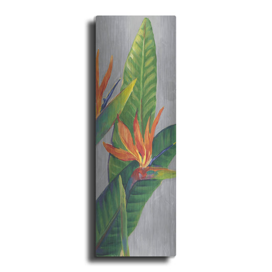 Luxe Metal Art 'Bird of Paradise Triptych III' by Tim O'Toole, Metal Wall Art