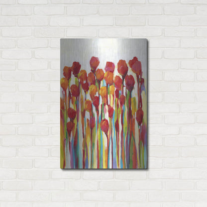 Luxe Metal Art 'Bursting with Color I' by Tim O'Toole, Metal Wall Art,24x36