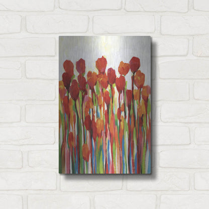 Luxe Metal Art 'Bursting with Color II' by Tim O'Toole, Metal Wall Art,12x16