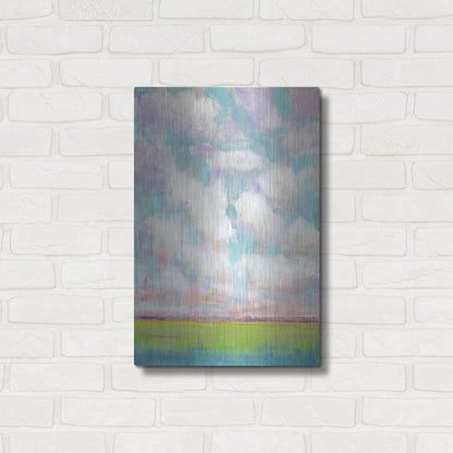 Luxe Metal Art 'Clouds in Motion I' by Tim O'Toole, Metal Wall Art,16x24