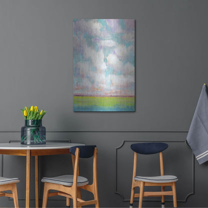 Luxe Metal Art 'Clouds in Motion I' by Tim O'Toole, Metal Wall Art,24x36