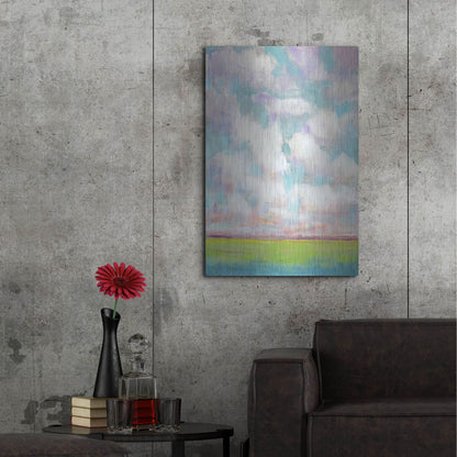 Luxe Metal Art 'Clouds in Motion I' by Tim O'Toole, Metal Wall Art,24x36