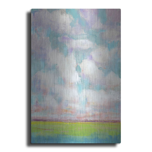 Luxe Metal Art 'Clouds in Motion I' by Tim O'Toole, Metal Wall Art