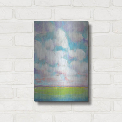 Luxe Metal Art 'Clouds in Motion II' by Tim O'Toole, Metal Wall Art,12x16