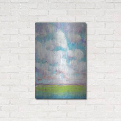 Luxe Metal Art 'Clouds in Motion II' by Tim O'Toole, Metal Wall Art,24x36