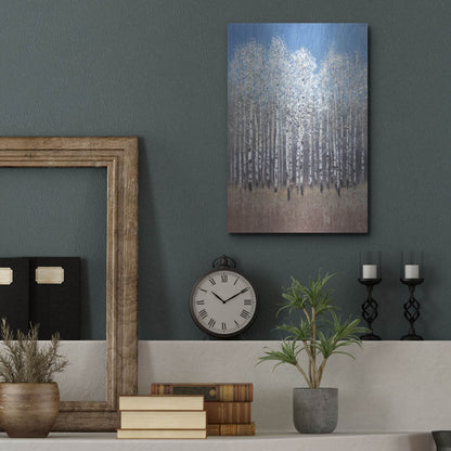 Luxe Metal Art 'Cobalt Birches I' by Tim O'Toole, Metal Wall Art,12x16