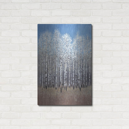 Luxe Metal Art 'Cobalt Birches I' by Tim O'Toole, Metal Wall Art,24x36