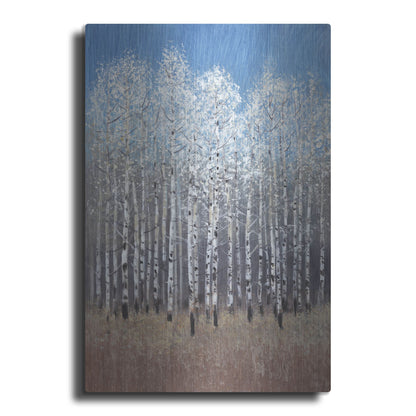 Luxe Metal Art 'Cobalt Birches I' by Tim O'Toole, Metal Wall Art