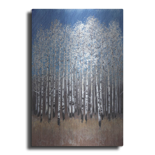 Luxe Metal Art 'Cobalt Birches II' by Tim O'Toole, Metal Wall Art