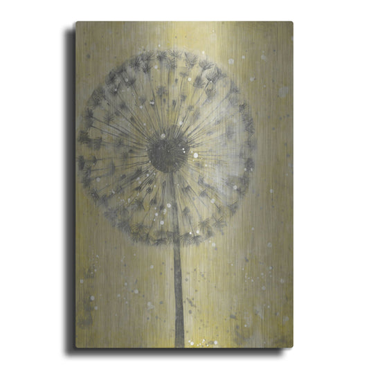 Luxe Metal Art 'Dandelion Abstract II' by Tim O'Toole, Metal Wall Art