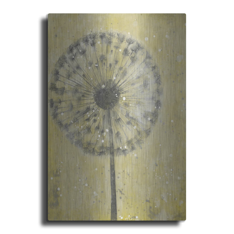 'Dandelion Abstract II' by Tim O'Toole – Metal Wall Art