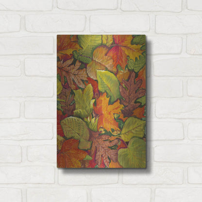 Luxe Metal Art 'Fallen Leaves I' by Tim O'Toole, Metal Wall Art,12x16