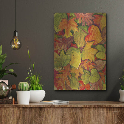 Luxe Metal Art 'Fallen Leaves II' by Tim O'Toole, Metal Wall Art,12x16