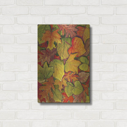 Luxe Metal Art 'Fallen Leaves II' by Tim O'Toole, Metal Wall Art,16x24