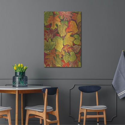 Luxe Metal Art 'Fallen Leaves II' by Tim O'Toole, Metal Wall Art,24x36