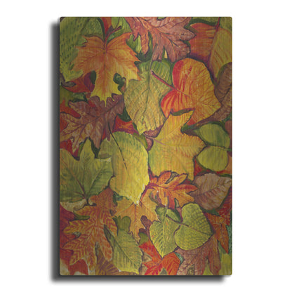 Luxe Metal Art 'Fallen Leaves II' by Tim O'Toole, Metal Wall Art