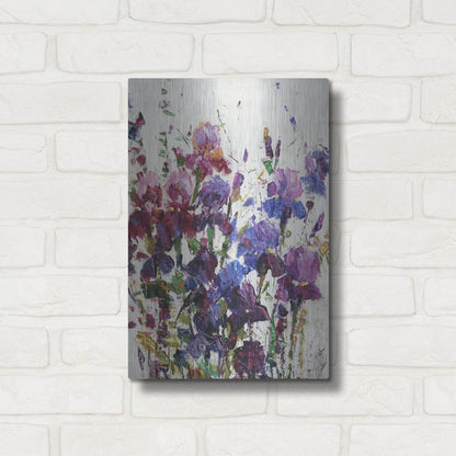 Luxe Metal Art 'Iris Blooming I' by Tim O'Toole, Metal Wall Art,12x16