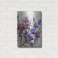 Luxe Metal Art 'Iris Blooming I' by Tim O'Toole, Metal Wall Art,16x24