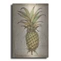 Luxe Metal Art 'Pineapple Study I' by Tim O'Toole, Metal Wall Art