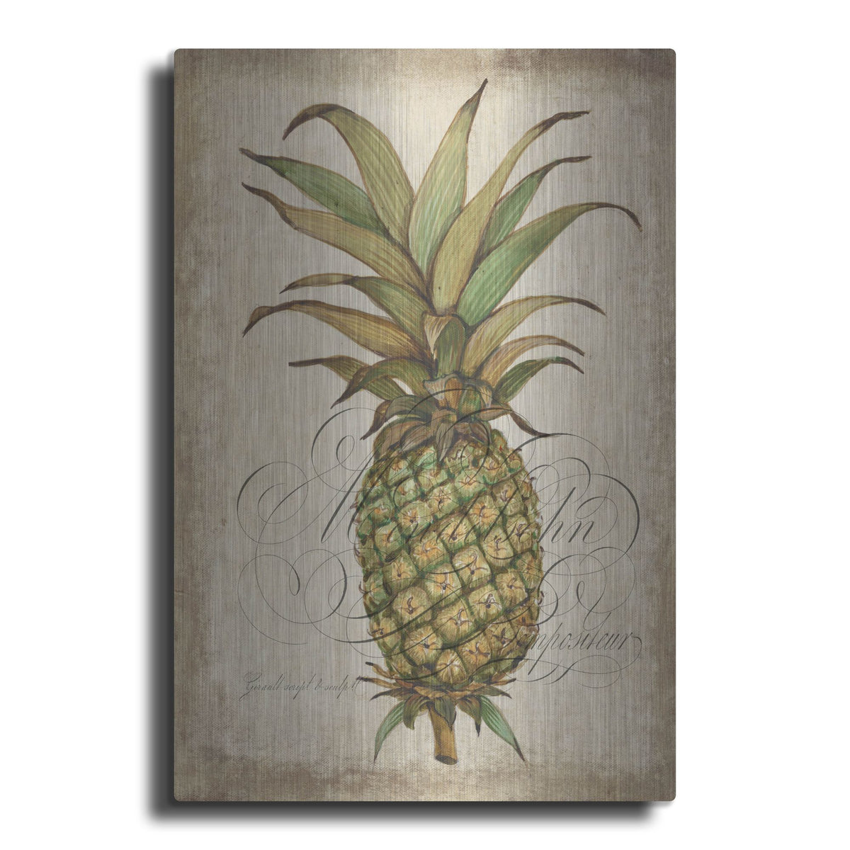 Luxe Metal Art 'Pineapple Study I' by Tim O'Toole, Metal Wall Art