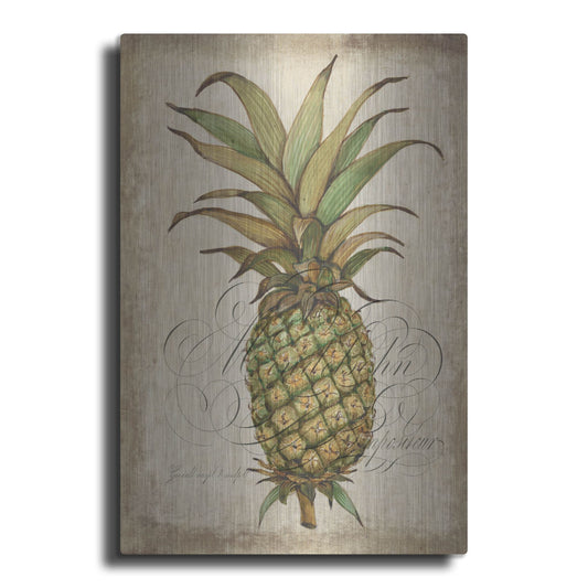 Luxe Metal Art 'Pineapple Study I' by Tim O'Toole, Metal Wall Art
