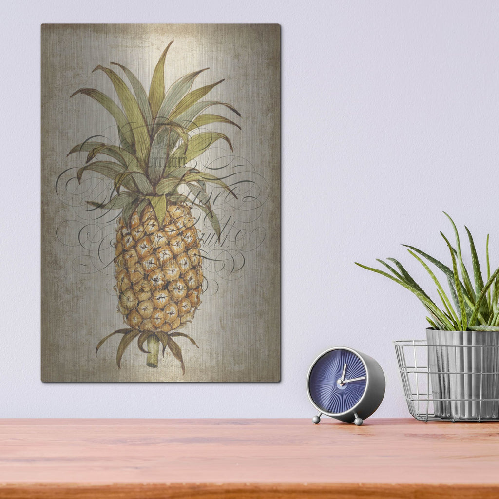 Luxe Metal Art 'Pineapple Study II' by Tim O'Toole, Metal Wall Art,12x16