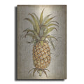 Luxe Metal Art 'Pineapple Study II' by Tim O'Toole, Metal Wall Art