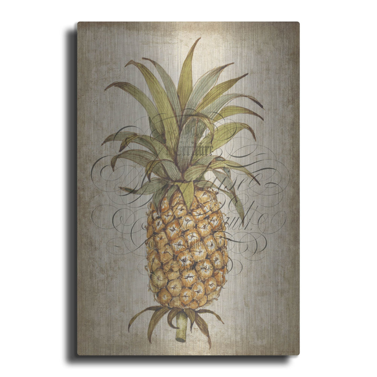 Luxe Metal Art 'Pineapple Study II' by Tim O'Toole, Metal Wall Art