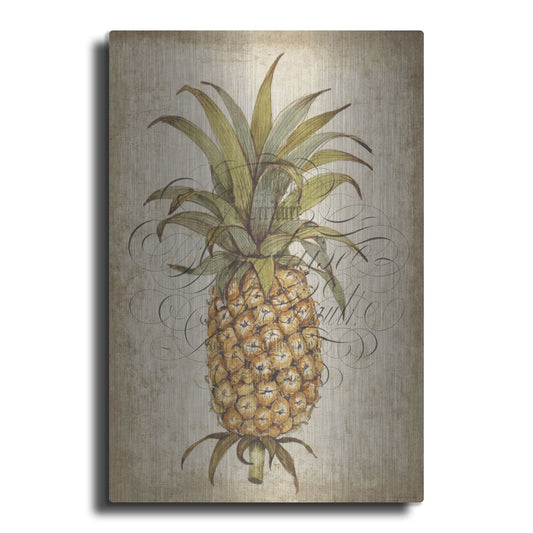 Luxe Metal Art 'Pineapple Study II' by Tim O'Toole, Metal Wall Art
