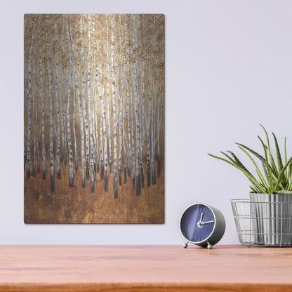 Luxe Metal Art 'Sienna Birches I' by Tim O'Toole, Metal Wall Art,12x16