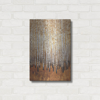 Luxe Metal Art 'Sienna Birches I' by Tim O'Toole, Metal Wall Art,16x24