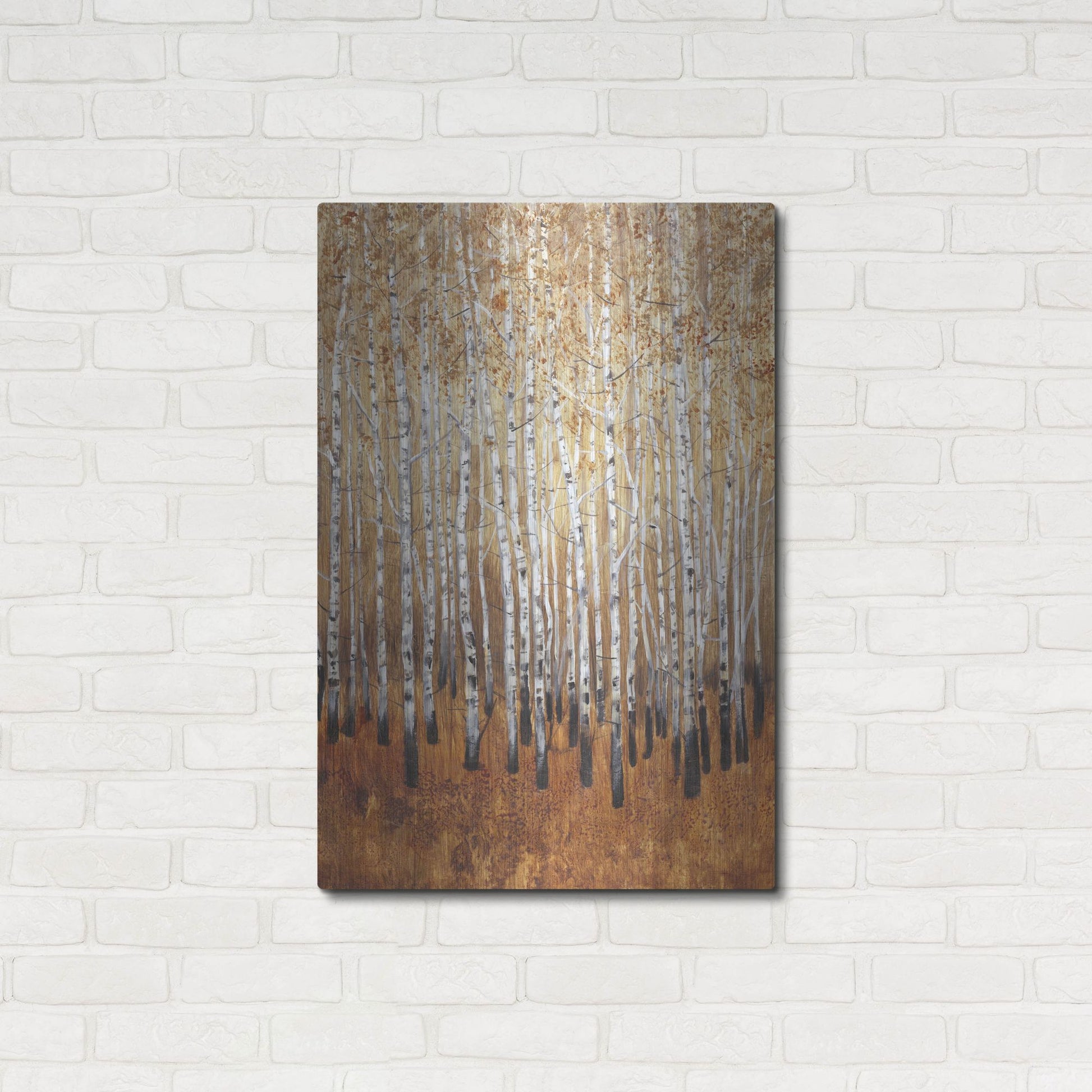 Luxe Metal Art 'Sienna Birches I' by Tim O'Toole, Metal Wall Art,24x36