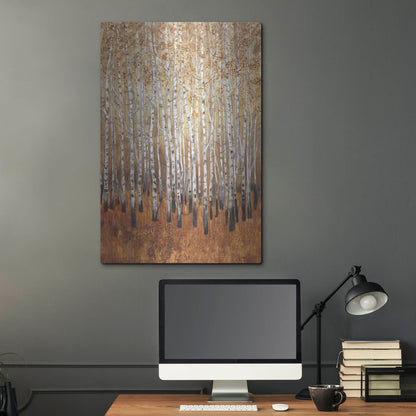 Luxe Metal Art 'Sienna Birches I' by Tim O'Toole, Metal Wall Art,24x36