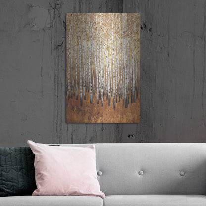 Luxe Metal Art 'Sienna Birches I' by Tim O'Toole, Metal Wall Art,24x36