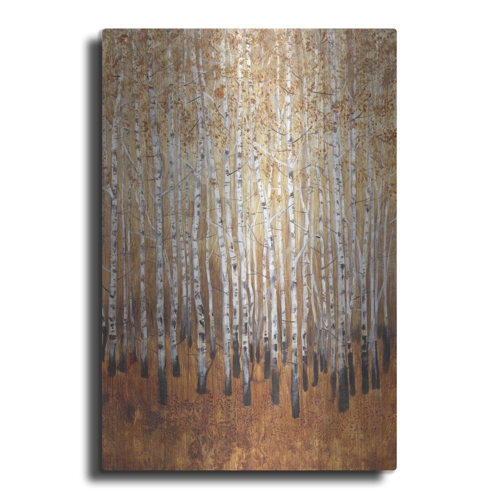 Luxe Metal Art 'Sienna Birches I' by Tim O'Toole, Metal Wall Art