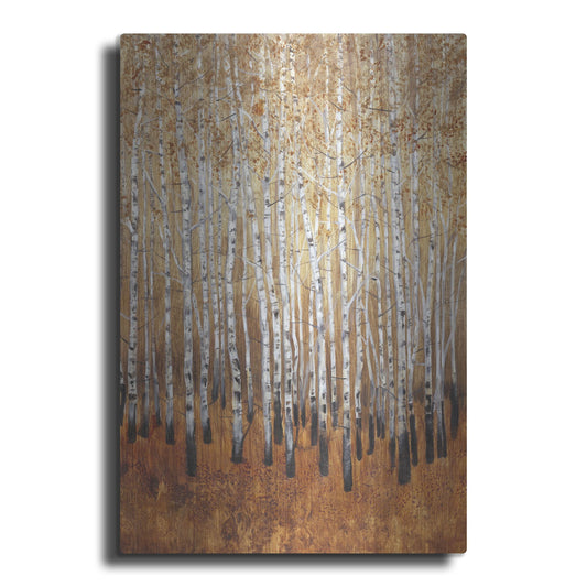 Luxe Metal Art 'Sienna Birches I' by Tim O'Toole, Metal Wall Art