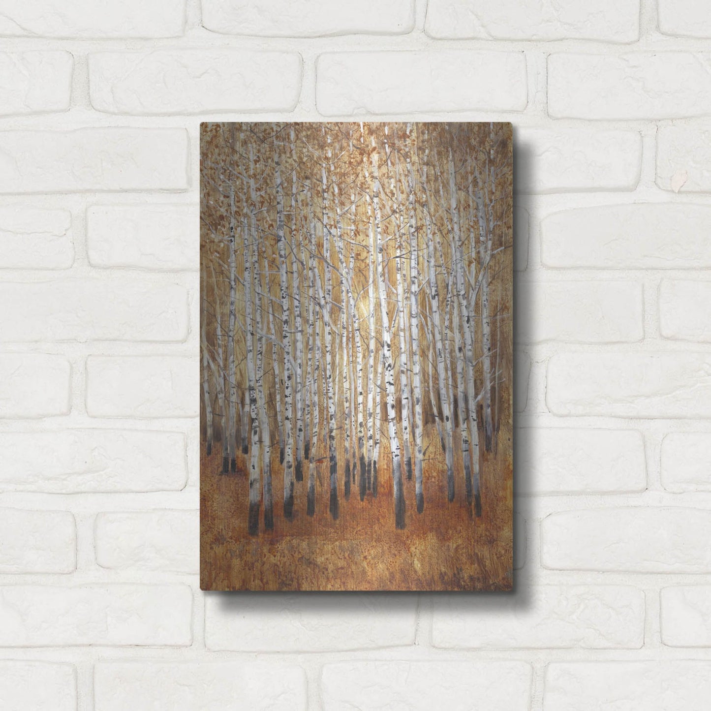 Luxe Metal Art 'Sienna Birches II' by Tim O'Toole, Metal Wall Art,12x16