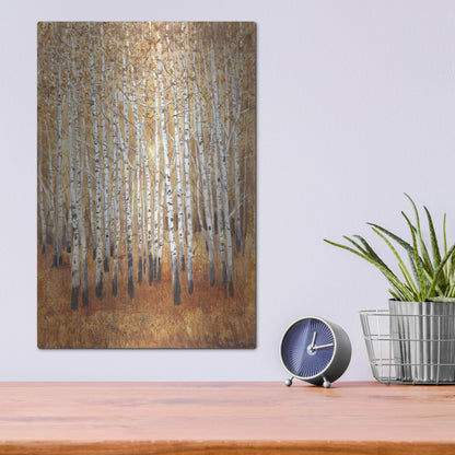Luxe Metal Art 'Sienna Birches II' by Tim O'Toole, Metal Wall Art,12x16