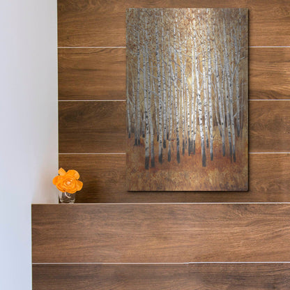 Luxe Metal Art 'Sienna Birches II' by Tim O'Toole, Metal Wall Art,12x16