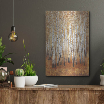Luxe Metal Art 'Sienna Birches II' by Tim O'Toole, Metal Wall Art,12x16