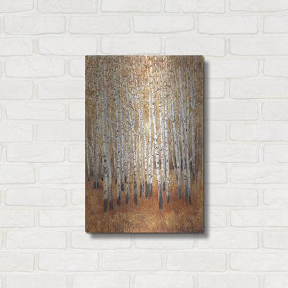 Luxe Metal Art 'Sienna Birches II' by Tim O'Toole, Metal Wall Art,16x24