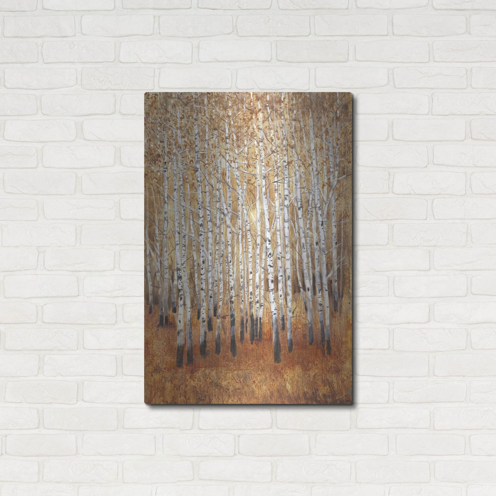 Luxe Metal Art 'Sienna Birches II' by Tim O'Toole, Metal Wall Art,24x36